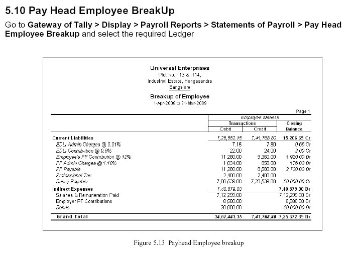 ' Pay Head Emplyee Breakup' Report @ Tally.ERP 9